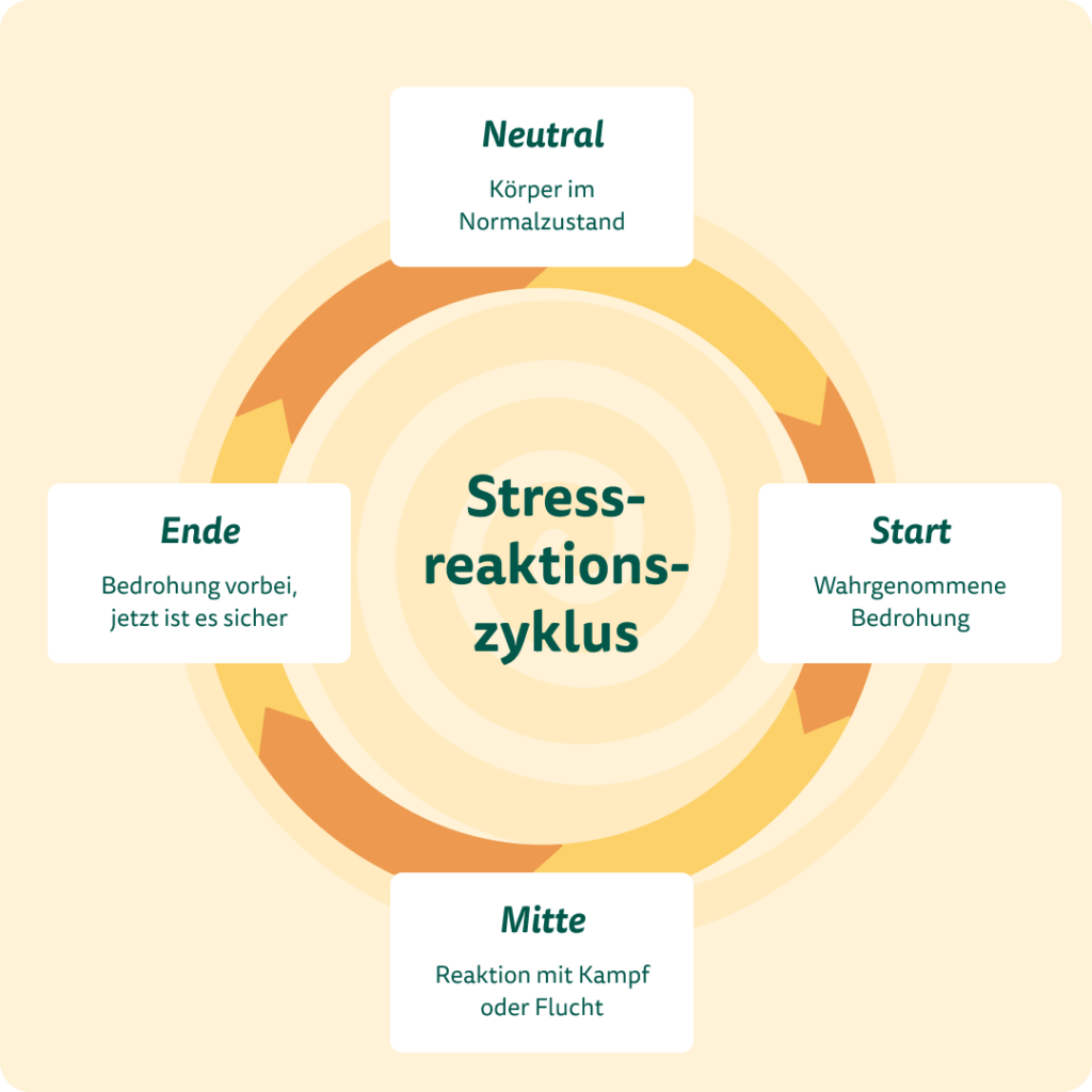 Schaubild: Wie man mit dem Stressreaktionszyklus das Nervensystem beruhigen kann